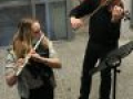 IMG 5095