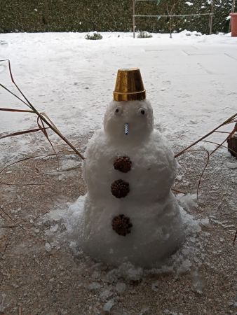 Schneemann Franz Prinz