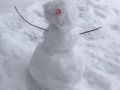 Schneemann Lennard Matt