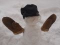 SchneemannJonathan Home