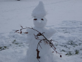 Schneemann Peter Ziegler