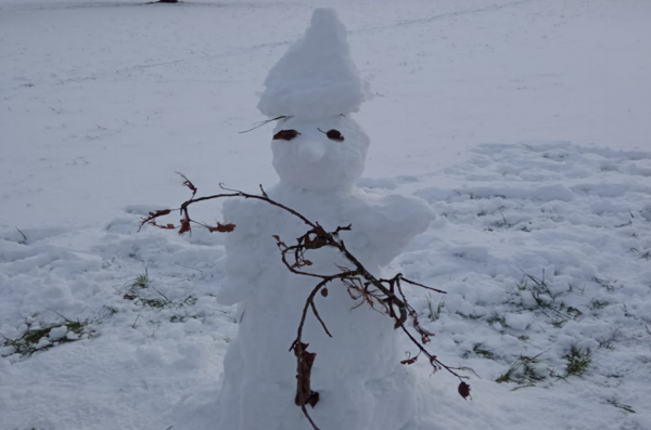 Schneemann Peter Ziegler