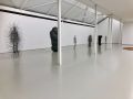 IMG 1529
