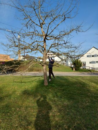 Ostereiersuche  8 